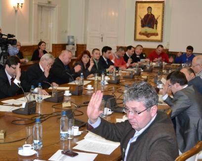 Consiliul Local dezbate hărţile strategice de zgomot din Oradea 